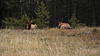 Alberta GTG-imga0240.jpg