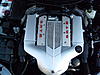 Who's looking for a SRT6 for Christmas???-dsci2245.jpg