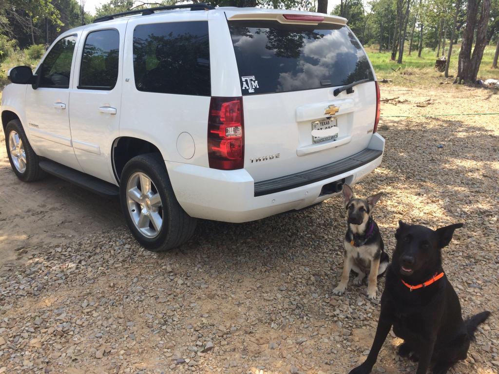 Name:  136f07cf-aa37-4e91-8a1c-172e3a1e8ace_zpsd358bc81.jpg
Views: 120
Size:  161.1 KB