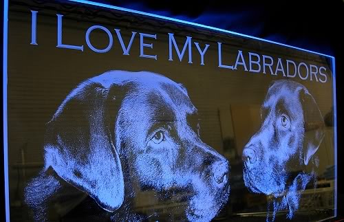 Name:  doggy.jpg
Views: 117
Size:  45.1 KB