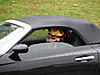 8th Annual Fall 2014 - Tail of the Dragon GTG-October 3, 4, 5-2009-fall-fall-dragon-149.jpg