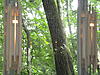 Crossfires Across America #6 - Ozark Mountain Region - June 15-18, 2015-arkansas-038.jpg