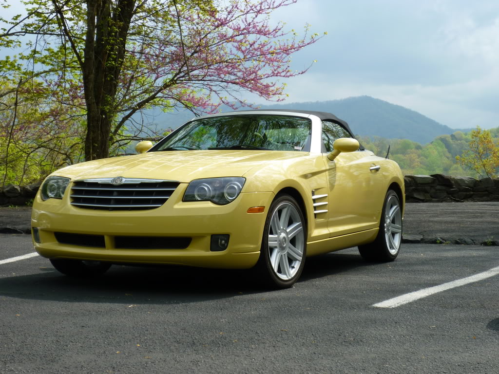 Name:  P1000176.jpg
Views: 72
Size:  233.9 KB