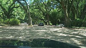 CAA#9 (Crossfires Across America #9) St. Francisville, LA - May 25, 26, 27, 28 2018-avery-island-.jpg