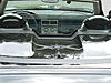 What Do You Think?-dragon-2010-spring-005.jpg