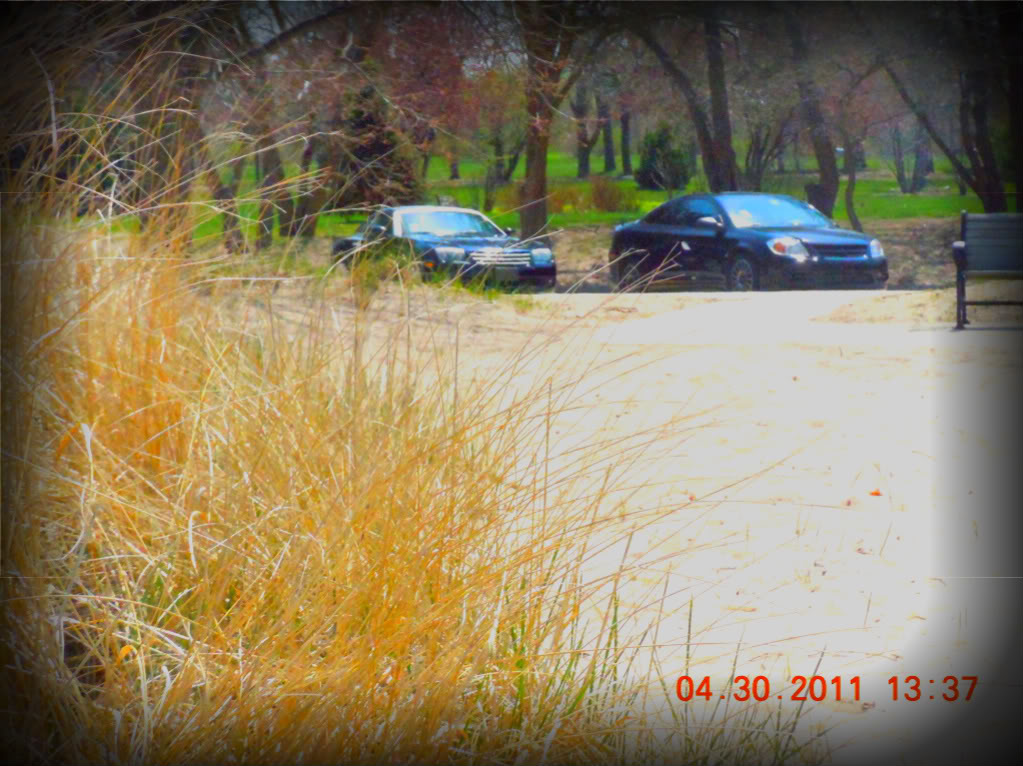 Name:  DSCN0498.jpg
Views: 171
Size:  147.6 KB