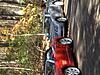 Sugarloaf Mountain Run - Central Md. 10-31-cimg2708.jpg