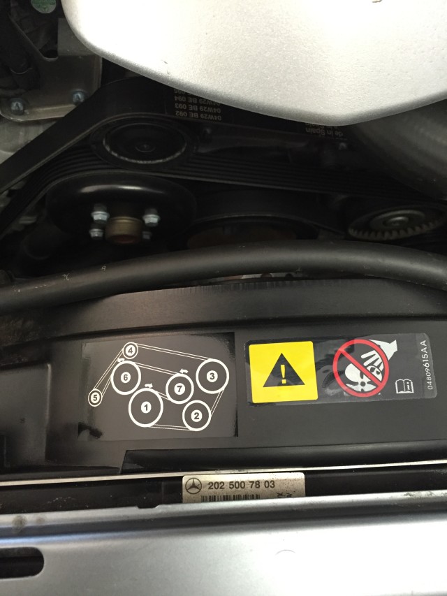 Name:  IMG_8437sm.jpg
Views: 653
Size:  100.9 KB