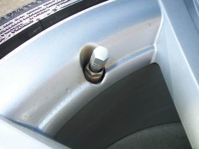 Name:  100_0738.jpg
Views: 29
Size:  47.5 KB