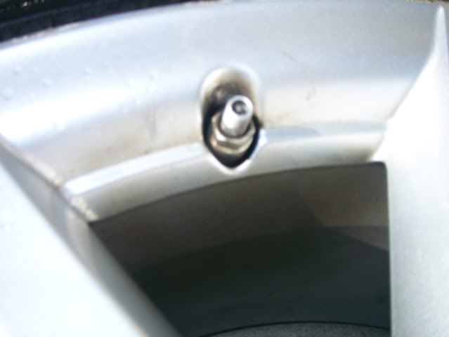 Name:  100_0739.jpg
Views: 33
Size:  26.4 KB