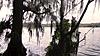 Florida Crossfire Group - Meet &amp; Greet Sunday 02/23/2014-1912059_485114854927937_1138693187_o.jpg