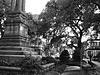 Drove to Savanna, GA yesterday-dsc02576.jpg