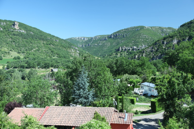 Name:  IMG_4156.jpg
Views: 70
Size:  220.8 KB