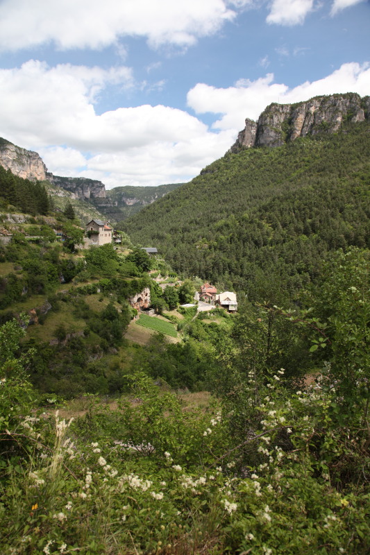 Name:  IMG_4310.jpg
Views: 61
Size:  189.5 KB