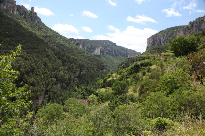 Name:  IMG_4318.jpg
Views: 102
Size:  215.1 KB