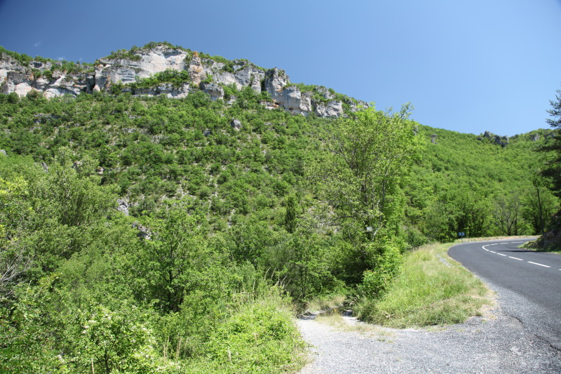 Name:  IMG_4344.jpg
Views: 90
Size:  230.6 KB