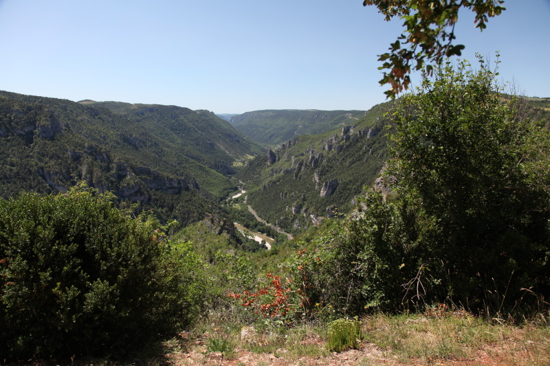 Name:  IMG_4410.jpg
Views: 51
Size:  195.4 KB