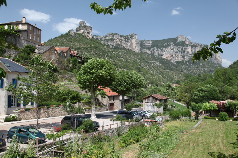 Name:  IMG_4577.jpg
Views: 28
Size:  222.9 KB