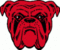 RED DOG